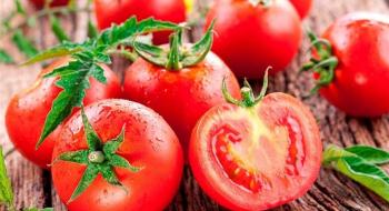 Від початку року Україна імпортувала стільки ж помідорів як за весь минулий рік Рис.1