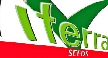 Viterra Seed виходить на ринок України Рис.1