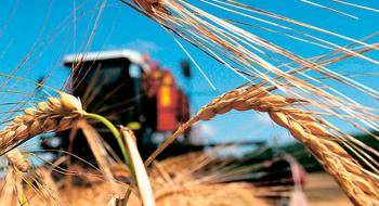 Жнива: В Україні зібрано майже 36 млн тонн зерна Рис.1