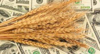 Ціни на українську пшеницю знову рвуться вгору Рис.1