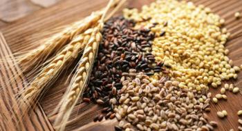 АТ «ДПЗКУ» впроваджує пільговий період на зберігання зернових та олійних культур Рис.1