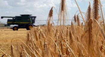 На Вінниччині намолочено майже 2 млн тонн кукурудзи Рис.1