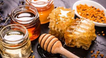 Названо країни-лідери за імпортом українського меду Рис.1