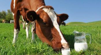 Українське молоко б'є цінові рекорди Рис.1