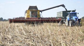 В ІМК завершили обмолот соняшнику та посів озимої пшениці Рис.1