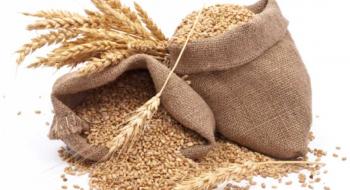 В Україні на третину зменшилися запаси зерна Рис.1