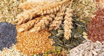 Європарламент у першому читанні визнав українську систему сертифікації насіння Рис.1