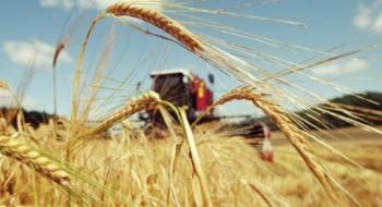 За рівнем врожайності ячменю Сумщина займає 4 місце серед регіонів Рис.1