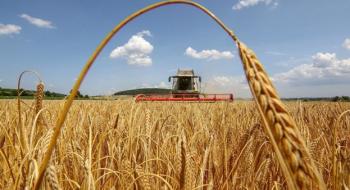 Жнива-2020: В Україні зібрано 45,7 млн тонн зерна Рис.1