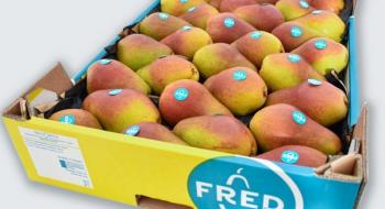 Бельгійська організація BelOrta представила грушу Fred® Рис.1