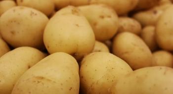 HZPC визначила світові тренди картоплярства Рис.1