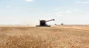 Луганщина зібрала рекордний за 30 років урожай Рис.1
