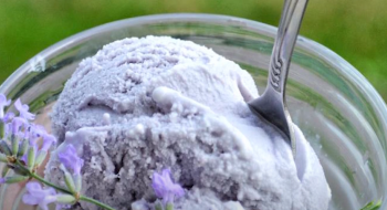 Львівський джелатьєро створює морозиво з квітів бузини і навіть креветок Рис.1