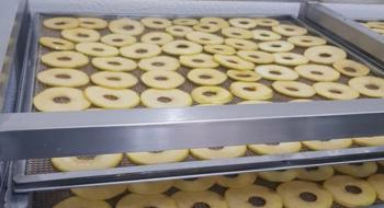 На Прикарпатті запустився виробник фруктових чипсів Рис.1