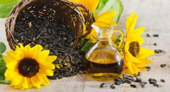 Стало відомо, чому щодня зростають закупівельні ціни на українську соняшникову олію Рис.1