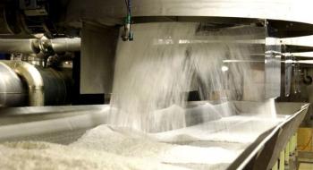 Українські заводи виробили майже 550 тис. т цукру Рис.1