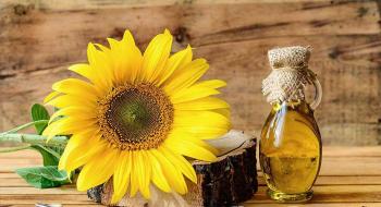 В Україні зросла ціна на соняшникову олію Рис.1