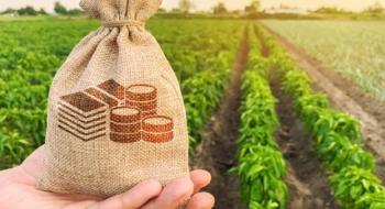 В Уряді оприлюднили суму держкомпенсації фермерам на покупку землі у 2021 році Рис.1
