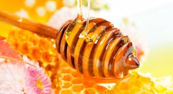 В Європі майже відвічі скоротилося виробництво меду Рис.1