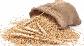 Запаси зернових і зернобобових в Україні становлять 20,4 млн т Рис.1