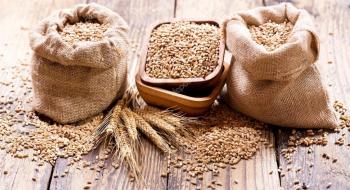 Жнива-2020: В Україні вже зібрано 61,9 млн тонн зерна Рис.1