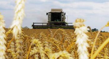 Жнива-2020: В Україні вже зібрано майже 54,4 млн тонн зерна Рис.1