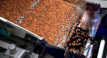 Міжнародна компанія розробила нову машину для сортування горіхів і сухофруктів Рис.1