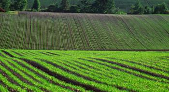 На Черкащині здійснили агрохімічне обстеження понад 95% сільгоспугідь Рис.1