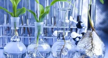 Редагування генів рослин здатне зберегти врожайність при зміні клімату, — вчені Рис.1