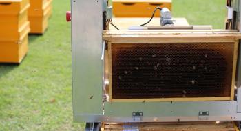 Робот-бджоляр навчився збирати стільники з вуликів Рис.1