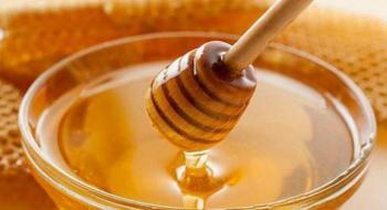  Україна експортувала рекордну кількість меду Рис.1