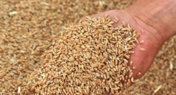 Україна не вводитиме жодних обмежень на експорт зерна,- УЗА Рис.1