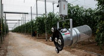 В Іспанії розробили світлодіодну технологію боротьби зі шкідниками томатів Рис.1