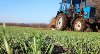 В Україні названо причини скорочення площ посівів озимої пшениці Рис.1