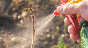 В Україні заборонять деякі небезпечні пестициди Рис.1