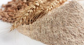 В Україні знижуються темпи експорту зерна Рис.1