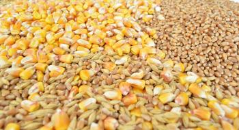 З України експортували 22,1 млн тонн зерна Рис.1
