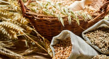 Ціни на пшеницю на фізичних ринках продовжують падати Рис.1