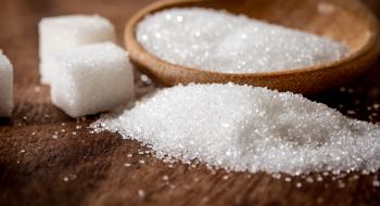 Цукрові заводи «Укрпромінвест-Агро» виробили більше 171 тис. т цукру Рис.1