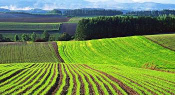 Держгеокадастр назвав регіони України з найдорожчою і найдешевшою землею Рис.1