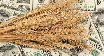 На ринку пшениці спостерігається новий стрибок цін Рис.1