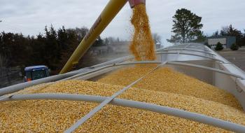 Наміри обмежити експорт кукурудзи з України стануть новим чинником впливу на ціни Рис.1