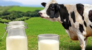 Підприємства Вінниччини збільшили продуктивність корів на 9% Рис.1