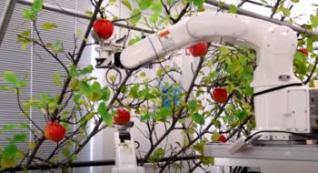 Розроблено робота, який автоматично збирає фрукти в садах Рис.1
