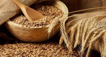 Уряд підтримав ліквідацію зернового Гарантійного фонду Рис.1