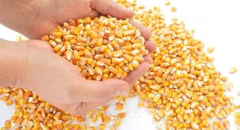 УЗА підписала додаток до Меморандуму щодо експорту кукурудзи в цьому сезоні Рис.1