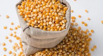 В Україні зросла ціна на кукурудзу Рис.1