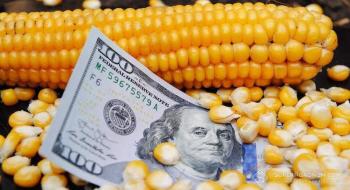 Закупівельні ціни на кукурудзу в Україні виросли до рекордного рівня Рис.1