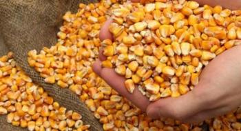 Біржові ціни на кукурудзу різко виросли, оновивши 7-річний максимум Рис.1