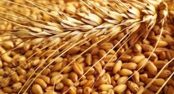 Ціни на пшеницю на фізичних ринках падають під тиском скорочення експорту Рис.1